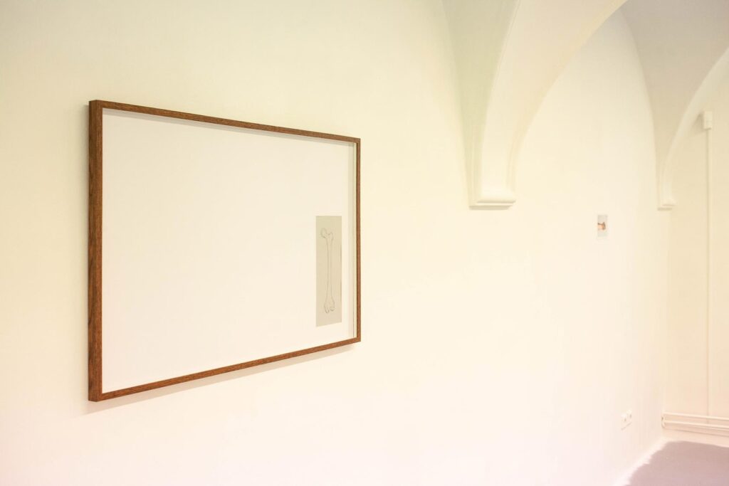 A7 Gallery Kristian Nemeth