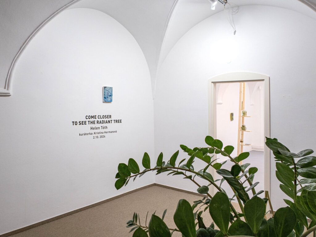 A7 Gallery umenie galeria Banska Bystrica Art contemporary art exhibition výstava Helen Toth