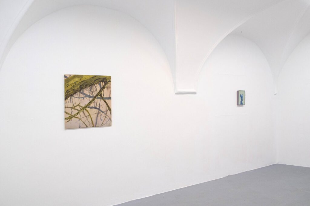 A7 Gallery umenie galeria Banska Bystrica Art contemporary art exhibition výstava Helen Toth