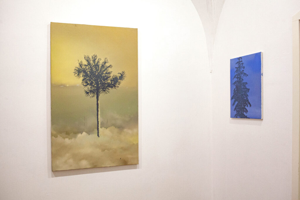 Helen Tóth A7 Gallery