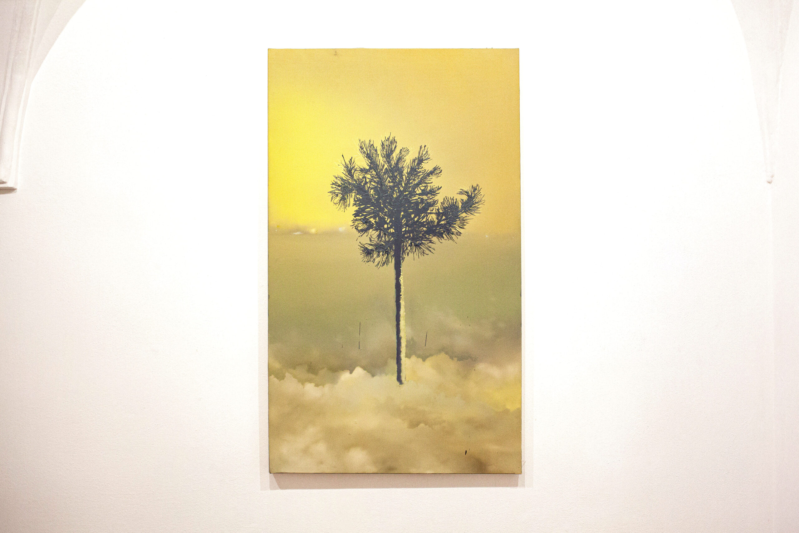 Helen Tóth A7 Gallery