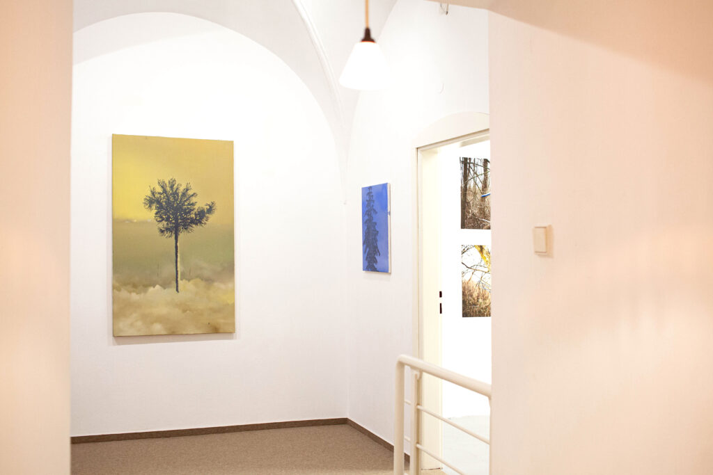 Helen Tóth A7 Gallery