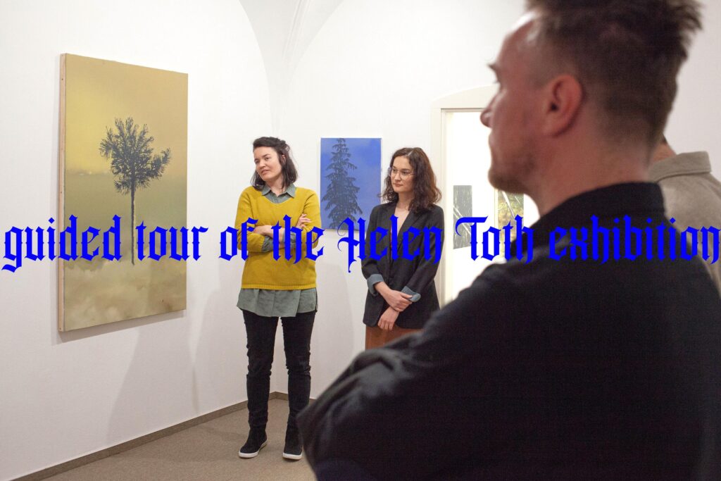 Helen Tóth A7 Gallery