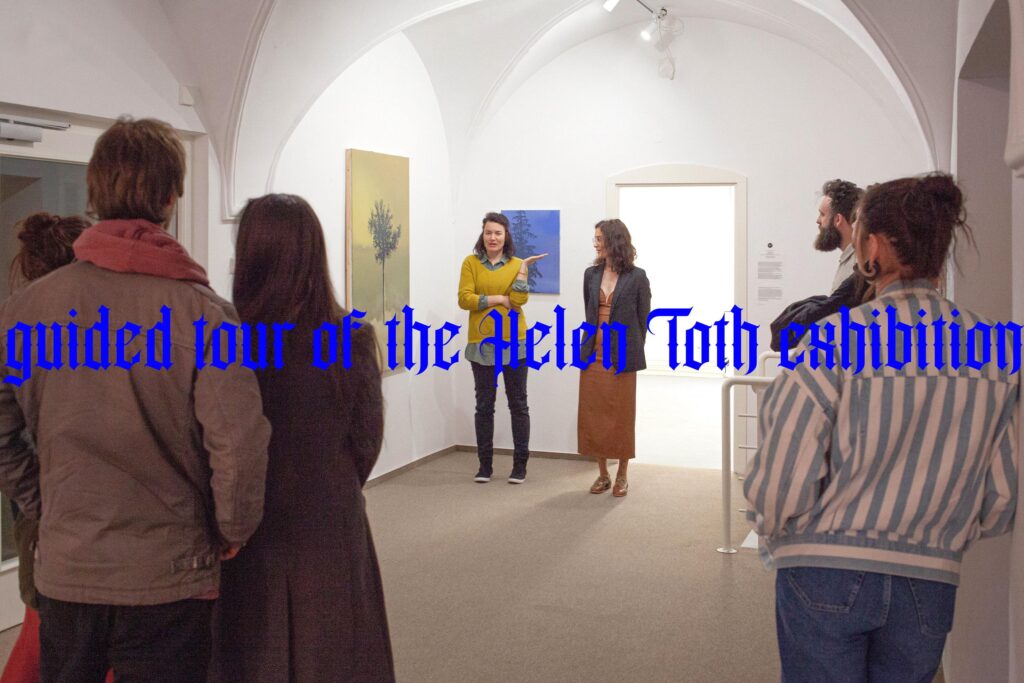 Helen Tóth A7 Gallery