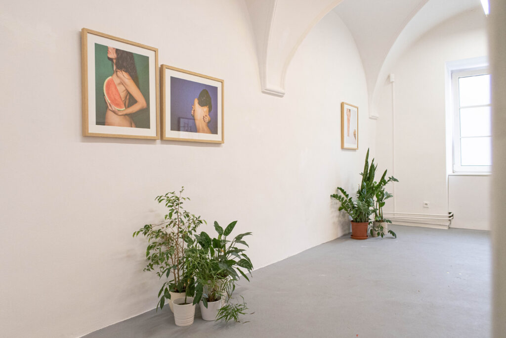 Dorota Holubova A7 Gallery