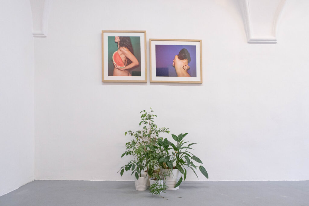 Dorota Holubova A7 Gallery