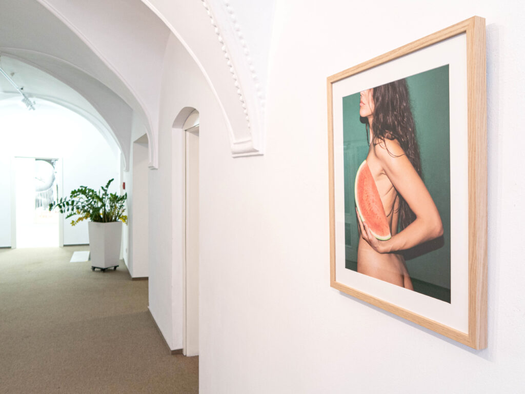 Dorota Holubova A7 Gallery